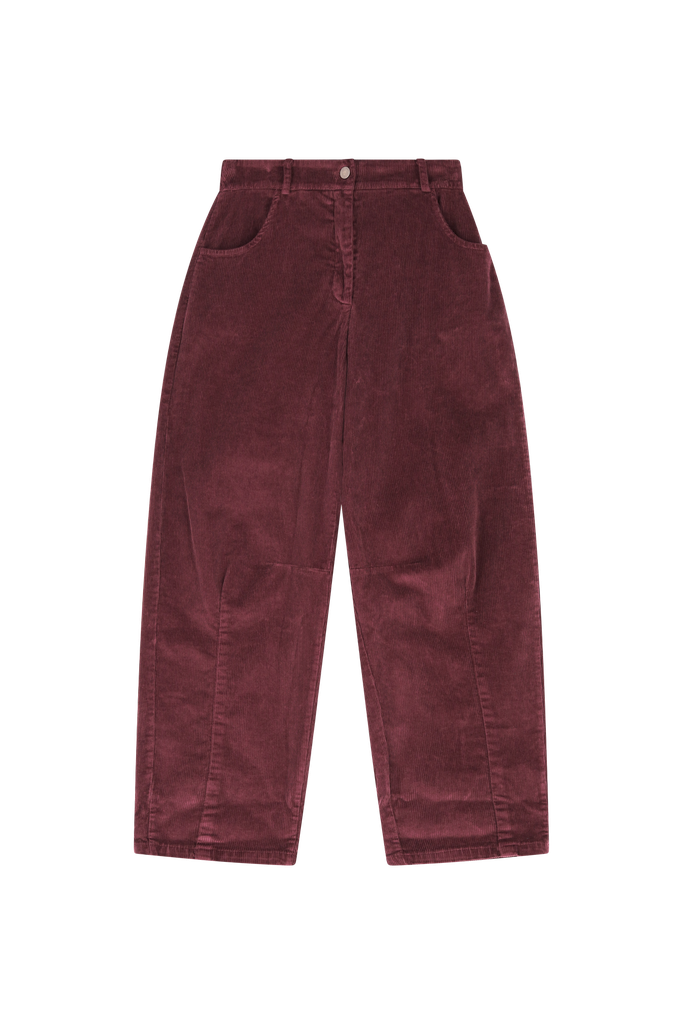 PANTS FLEX W25